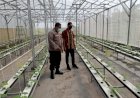 Dukung-Ketahanan-Pangan,-Warga-Gempolklutuk-bersama-Polsek-Tarik-Kembangkan-Melon-Hidroponik