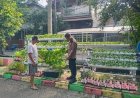 Warga-Perum-MCG-Giatkan-Tanaman-Hidroponik,-Disambut-Baik-Bhabinkamtibmas-Desa-Larangan