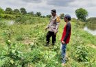 Bhabinkamtibmas-Desa-Dukuh-Sari-Bersama-Kelompok-Tani-Cek-Lahan-P2B,-Dukung-Ketahanan-Pangan-Nasional