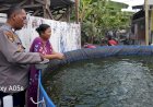 Budidaya-Ikan-Lele-di-Karangbong-Tunjukkan-Hasil-Positif,-Dukung-Program-Ketahanan-Pangan-Nasional