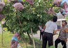 Polisi-Ajari-Warga-Desa-Randegan-Tanggulangin-Perawatan-Tanaman-Kelengkeng-untuk-Hasil-Lebih-Lebat
