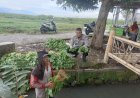 Polsek-Porong-Cek-Lahan-P2B-Warga-di-Desa-Pesawahan
