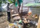 Polsek-Porong-Dukung-Budidaya-Entok-Jumbo-di-Plumbon