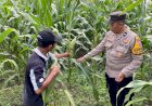 Bhabinkamtibmas-Desa-Bakung-Temenggungan-Masifkan-Program-Ketahanan-Pangan-Polresta-Sidoarjo