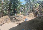 Respons-Cepat-Aduan-Warga,-Polres-Nganjuk-Bongkar-Dua-Lokasi-Sabung-Ayam