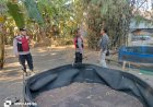 Tindak-Lanjuti-Dumas,-Polsek-Porong-Datangi-Lokasi-Dugaan-Adu-Ayam-di-Pamotan