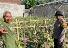 Polsek-Balongbendo-Masif-Dampingi-Warga-Kelola-P2L,-Dukung-Ketahanan-Pangan