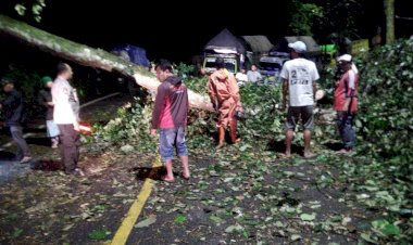 Gercep-Polisi-Bersama-Warga-Tangani-Pohon-Tumbang,-Jalur-Nasional-Lintas-Gumitir-Kembali-Lancar