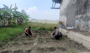 Maksimalkan-Pengelolahan-Pekarangan-Bergizi-SDN-I-Kedung-Sugo