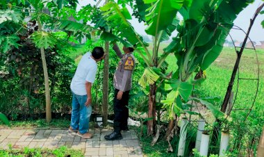 Polsek-Sukodono-Tinjau-Lahan-P2B,-Dukung-Ketahanan-Pangan-Lewat-Tanaman-Buah-dan-Sayur