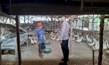 Dukung-Ketahanan-Pangan-Nasional,-Polisi-Patroli-Dialogis-ke-Peternak-Bebek-Wonoayu