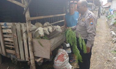 Jelang-Idul-Adha,-Polisi-di-Sidoarjo-Tinjau-Persiapan-Hewan-Kurban-Bergizi