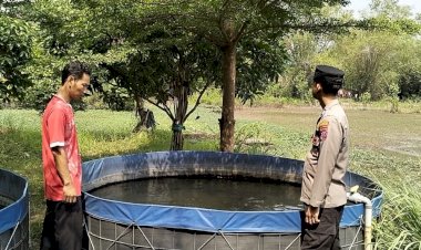 Pengecekan-Budidaya-Ikan-Lele,-Bukti-Keberhasilan-Program-Ketahanan-Pangan-P2B