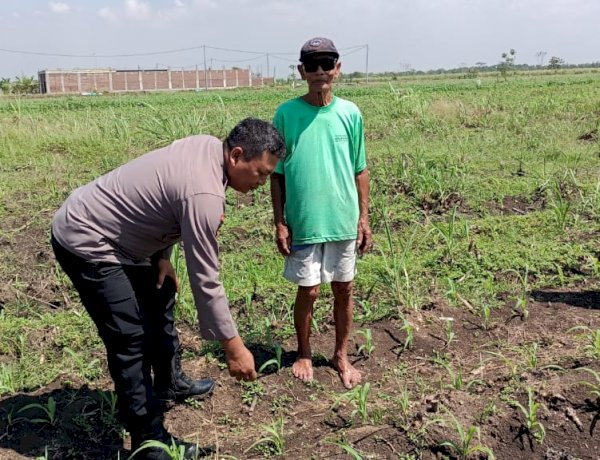 Masifkan Gerakan Ketahanan Pangan, Polisi di Kecamatan Tarik Dampingi Petani