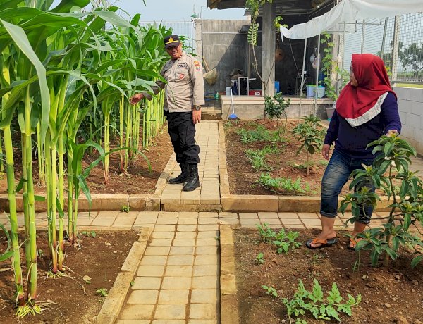 Polisi Sambangi Lahan Jagung Desa Randegan, Ajak Petani Dongkrak Swasembada Pangan