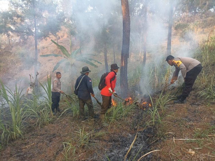 Gerak Cepat Polisi Bersama Perhutani dan Warga Padamkan Kebakaran Lahan di Trenggalek