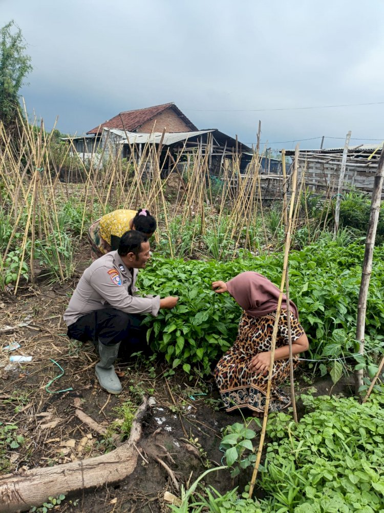 Polsek Jabon bersama Warga Bangunsari Siapkan Lahan Produktif Wujudkan Ketahanan Pangan