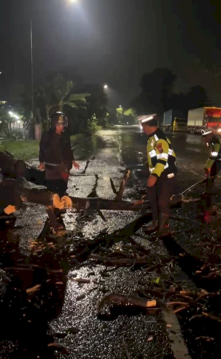 Polsek Balongbendo Evakuasi Pohon Tumbang, Arus Lalu Lintas Kembali Lancar